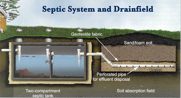 Our Thoughts on Septic Systems